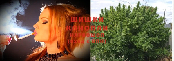 спайс Кодинск