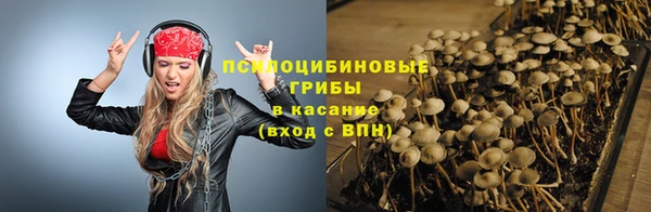 mdpv Корсаков