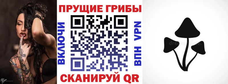 Купить закладки  Артёмовский  Псилоцибиновые грибы Cubensis 